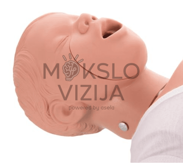 Trimečio kūdikio manikenas, SCE0018