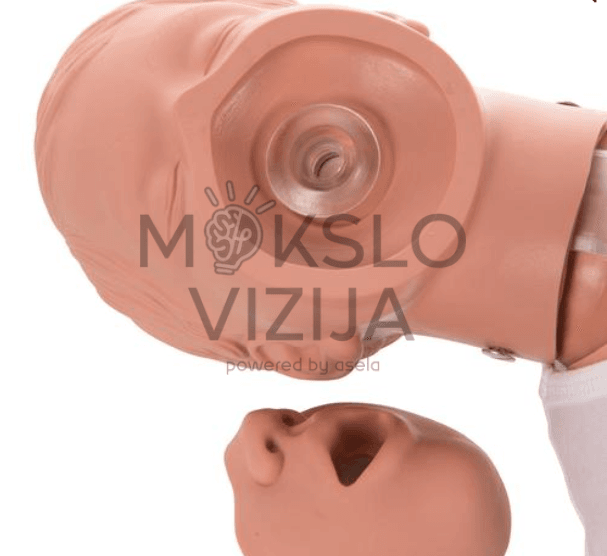 Trimečio kūdikio manikenas, SCE0018