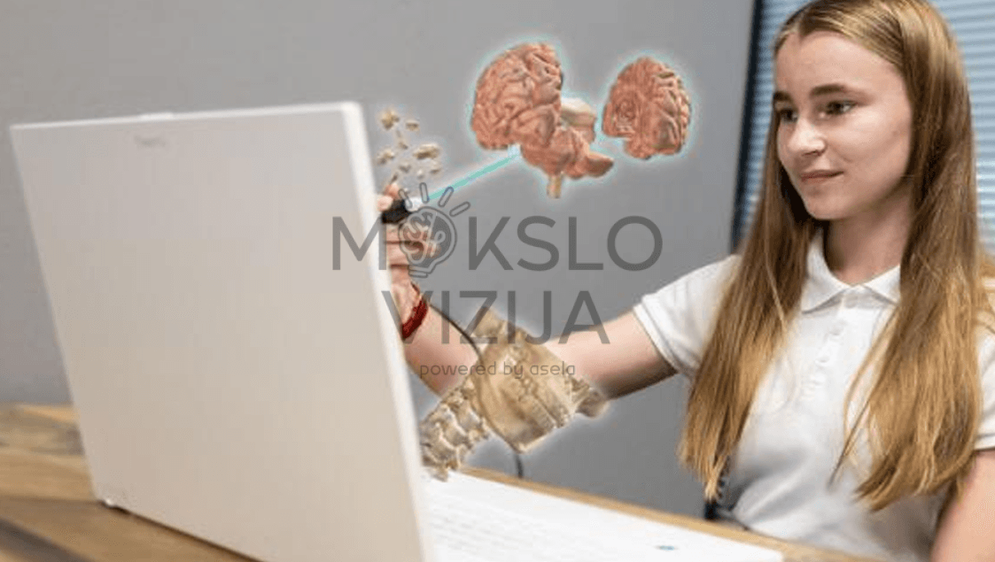 Anatomijos atlasas su galimybe sluoksniuoti ir šalinti elementus (raumenys, kraujagyslės, vidaus organai).