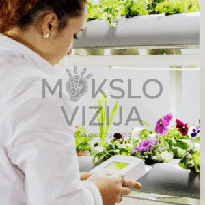 Studentai prižiūri hidroponinį augalų stendą, matuodami maistinių tirpalų parametrus.