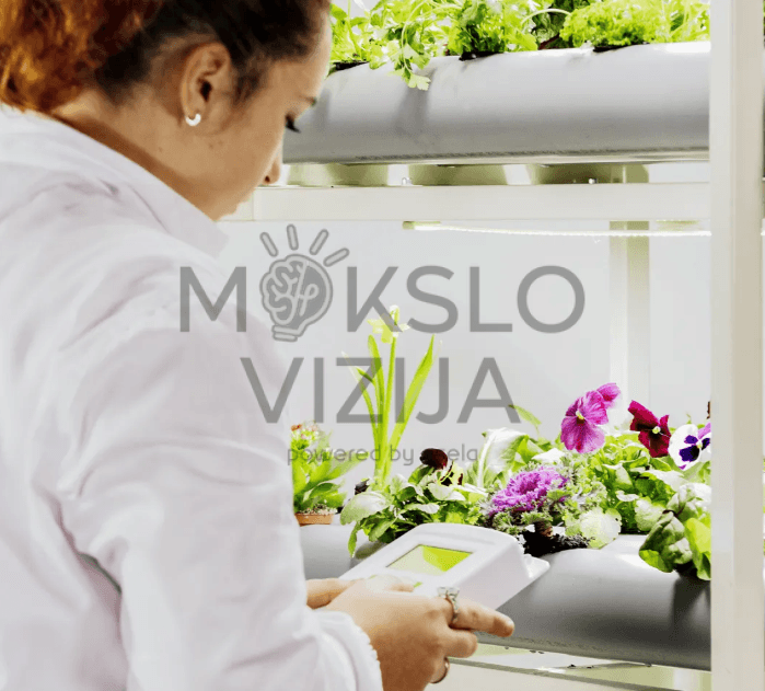 Studentai prižiūri hidroponinį augalų stendą, matuodami maistinių tirpalų parametrus.