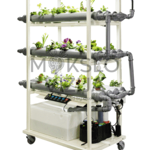 Vertikali hidroponinė sistema klasėje, kurioje mokiniai stebi augalų augimą po LED apšvietimu.