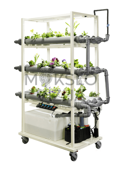 Vertikali hidroponinė sistema klasėje, kurioje mokiniai stebi augalų augimą po LED apšvietimu.