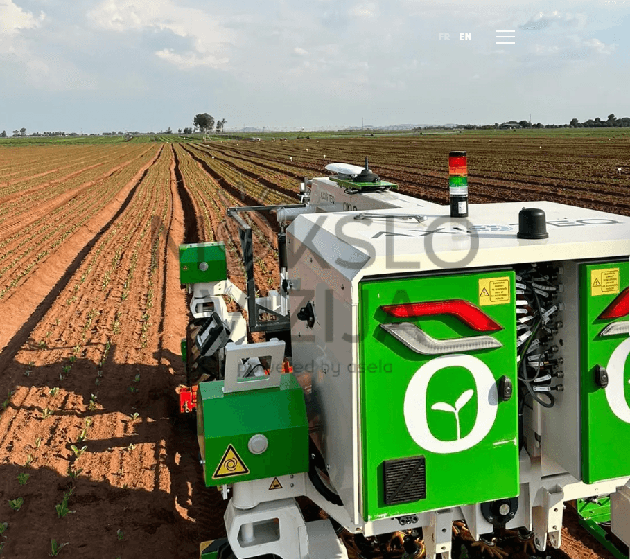 Autonominis žemės ūkio robotas dirba daržovių lauke ir važiuoja tarp eilių, atlikdamas pasėlių priežiūros darbus.