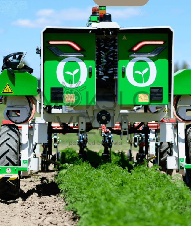 Autonominio žemės ūkio roboto galinė dalis dirbant tarpueiliuose daržovių lauke, matomos ravėjimo sistemos.