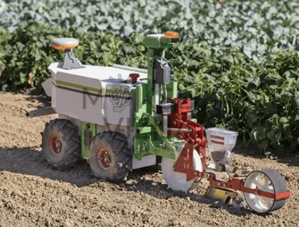 Autonominis žemės ūkio robotas dirba lauke su sėjos ir ravėjimo padargu, skirtas darbui eiliniuose pasėliuose.