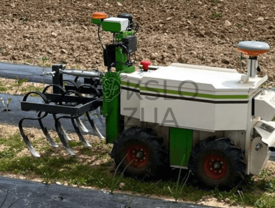 Autonominis žemės ūkio robotas su kultivavimo įrankiu dirba tarp lysvių, skirtas mechaniniam ravėjimui ir dirvos priežiūrai.