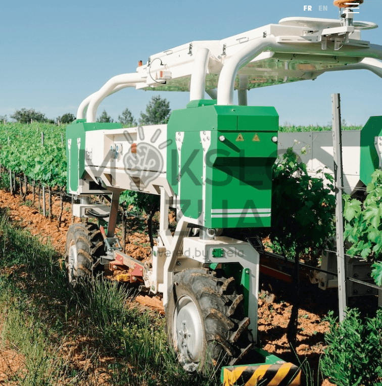 Autonominis žemės ūkio robotas vynuogyne dirba tarp eilių ir atlieka mechaninį ravėjimą bei tarpueilių priežiūrą.