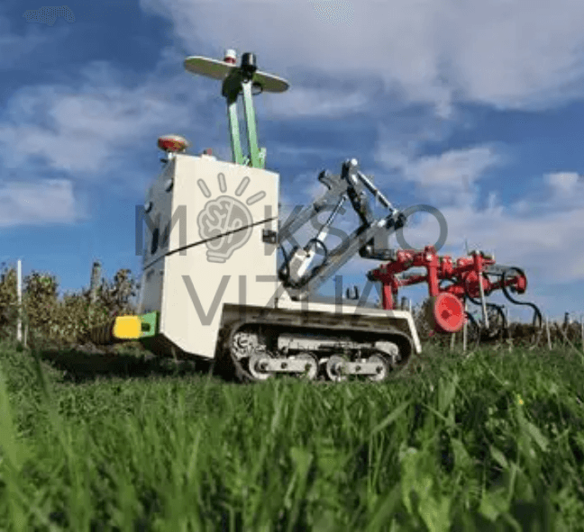 Vikšrinis autonominis žemės ūkio robotas dirba vynuogyne su mechaniniu padargu, skirtas tarpueilių priežiūrai.