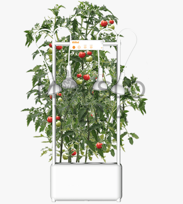 OPCOM Farm Grow Tank hidroponikos auginimo sistema su augalų apšvietimu ir integruotu rezervuaru, pomidorų auginimas patalpose.