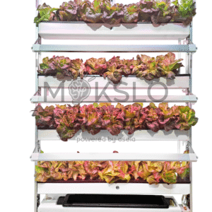 OPCOM Farm OFG003-3C hidroponikos auginimo sistema su salotomis, keli auginimo lygiai, integruotas LED augalų apšvietimas.