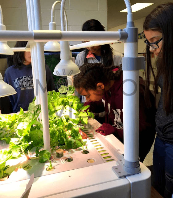 Auginimo mokomasis stendas - Image 3