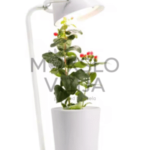 Pilno spektro LED auginimo lempa Cirkuliuojantis vandens siurblys su laikmačiu Automatinis priminimas apie žemą vandens lygį