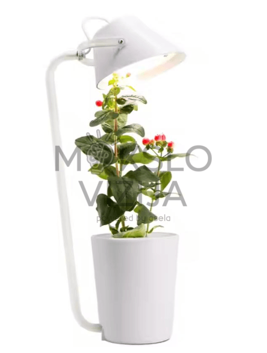 Mini LED hidroponinė auginimo sistema su integruota lempa ir augalu baltame vazone