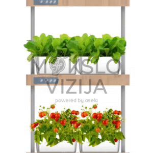 SG09 dviejų lygių hidroponikos auginimo sistema su LED apšvietimu, žalumynų ir pomidorų auginimas patalpose.