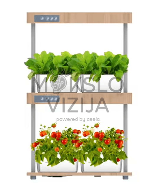 SG09 dviejų lygių hidroponikos auginimo sistema su LED apšvietimu, žalumynų ir pomidorų auginimas patalpose.