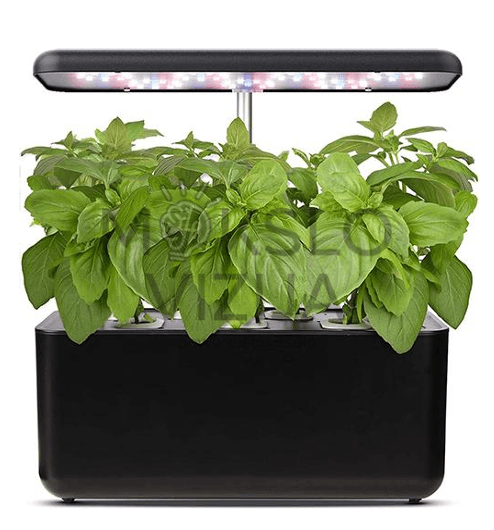 Kompaktiška hidroponikos auginimo sistema su LED apšvietimu, prieskoninių žolelių auginimas patalpose, juodas korpusas.