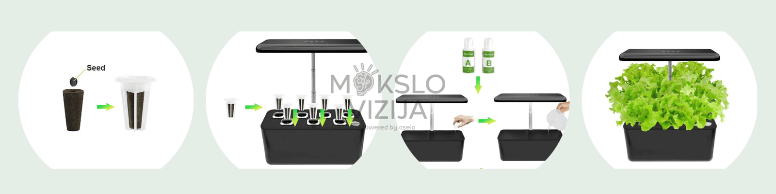 Hidroponikos auginimo sistemos naudojimo eiga, sėklų sodinimas, augalų lizdai, maistinių medžiagų papildymas, LED apšvietimas, derliaus auginimas.