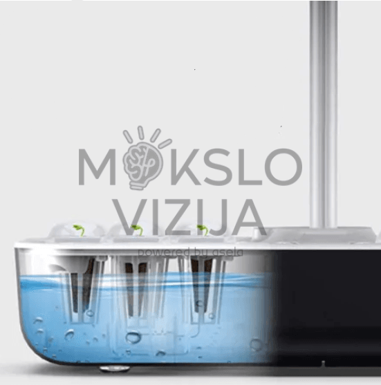 SG20 hidroponikos sistema, rezervuaro pjūvis, vandens lygis, šaknų zona, augalų lizdai hidroponikoje.