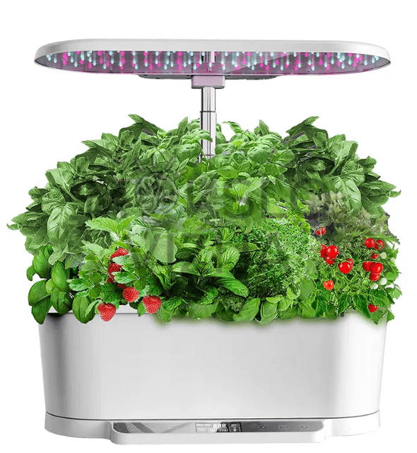 Augalai auginami be dirvožemio – maistiniame tirpale, todėl auginimas yra švarus, tvarkingas ir patogus naudoti namuose, biure ar edukacinėse erdvėse. Sistema sukurta taip, kad užtikrintų stabilias auginimo sąlygas: pilno spektro LED auginimo lempa aprūpina augalus reikiamu apšvietimu, o cirkuliuojantis vandens siurblys su laikmačiu palaiko nuolatinę tirpalo cirkuliaciją.
