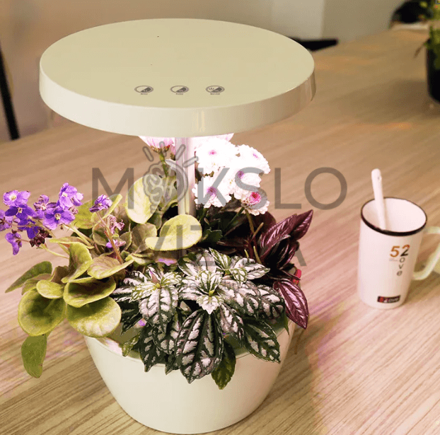 Dekoratyvinis hidroponikos vazonas su LED apšvietimu, augalai auginami patalpose, interjero sprendimas namams ar biurui.