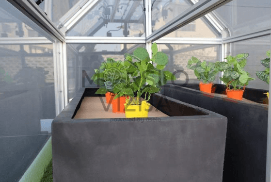 DL GREEN-I4.0-2 Smart Greenhouse auginimo zona, augalai konteineriuose, mikroklimato stebėsena ir mokomieji eksperimentai.