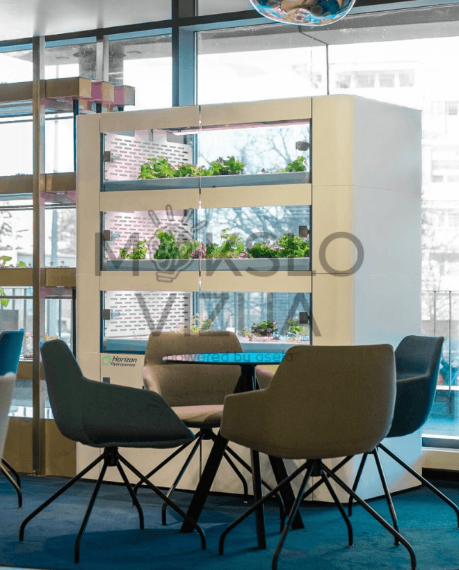 Vertikali Horizon hidroponinė ferma interjere, integruotas LED apšvietimas, keli auginimo lygiai, žalumynai auginami patalpose.
