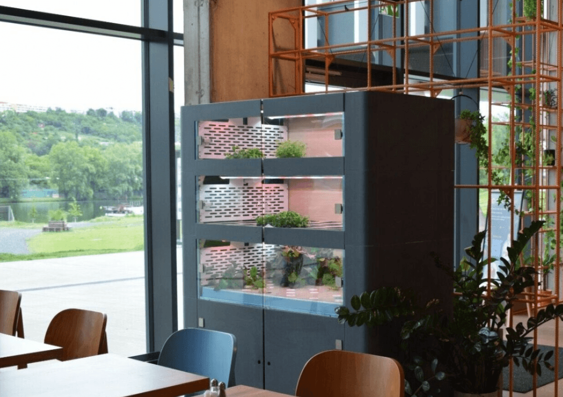 Horizon hidroponinė ferma prie lango, vertikalus auginimo modulis su LED apšvietimu, žalumynai hidroponikoje.