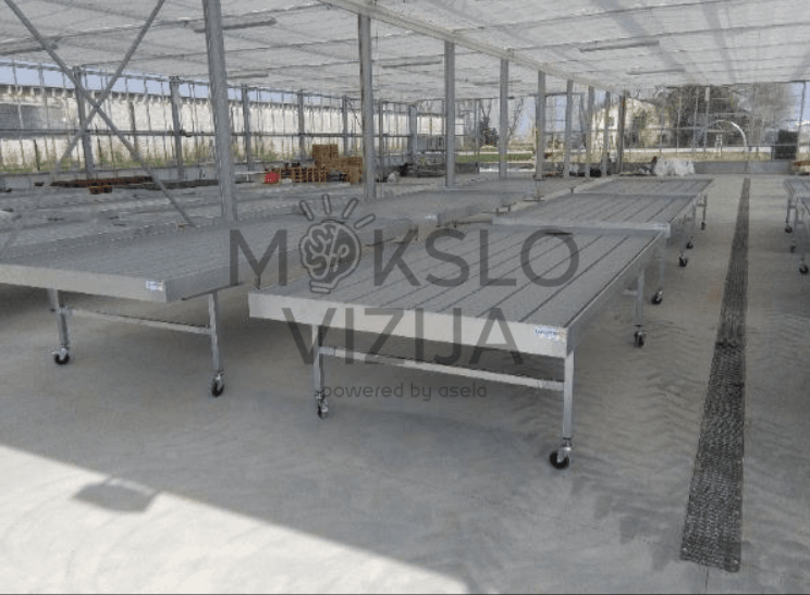 Ebb-flow auginimo stalai šiltnamyje, mobilūs stalai ant ratukų daiginimui ir augalų priežiūrai.