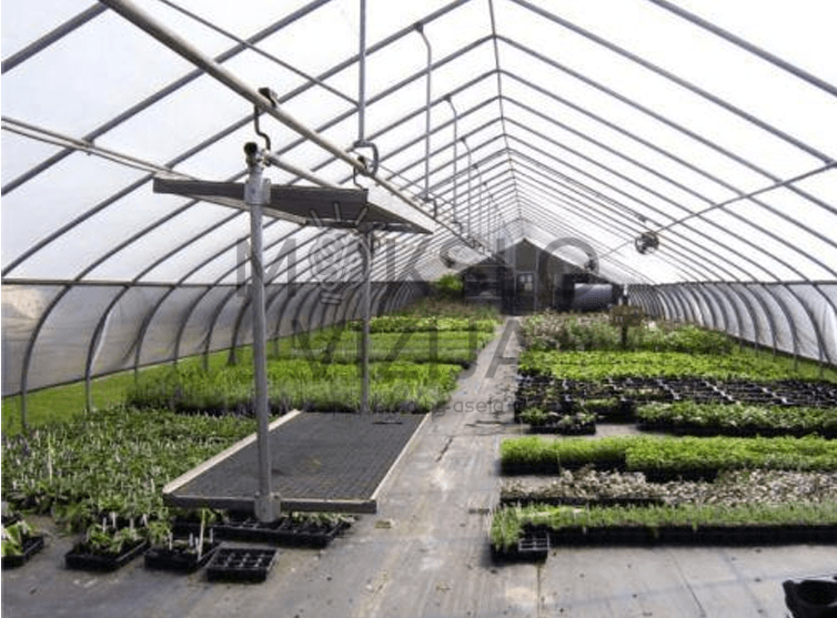 Mokomasis šiltnamis su daigų auginimo plotais, auginimo stalais ir takais, augalų auginimas kontroliuojamoje aplinkoje.