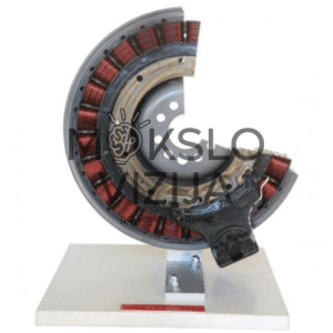 Hibridinės elektrinės mašinos statoriaus pjūvio modelis ant stovo su matomomis varinėmis apvijomis.