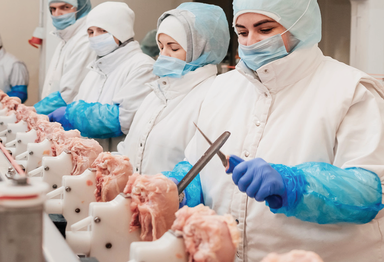 Apsaugine apranga vilkintys darbuotojai gamybinėje linijoje pjausto žalią paukštieną naudodami peilius ir galąstuvus