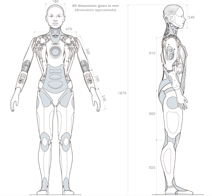 Humanoidinio roboto techninis brėžinys su aukščio, pločio ir konstrukcinių dalių matmenimis milimetrais.