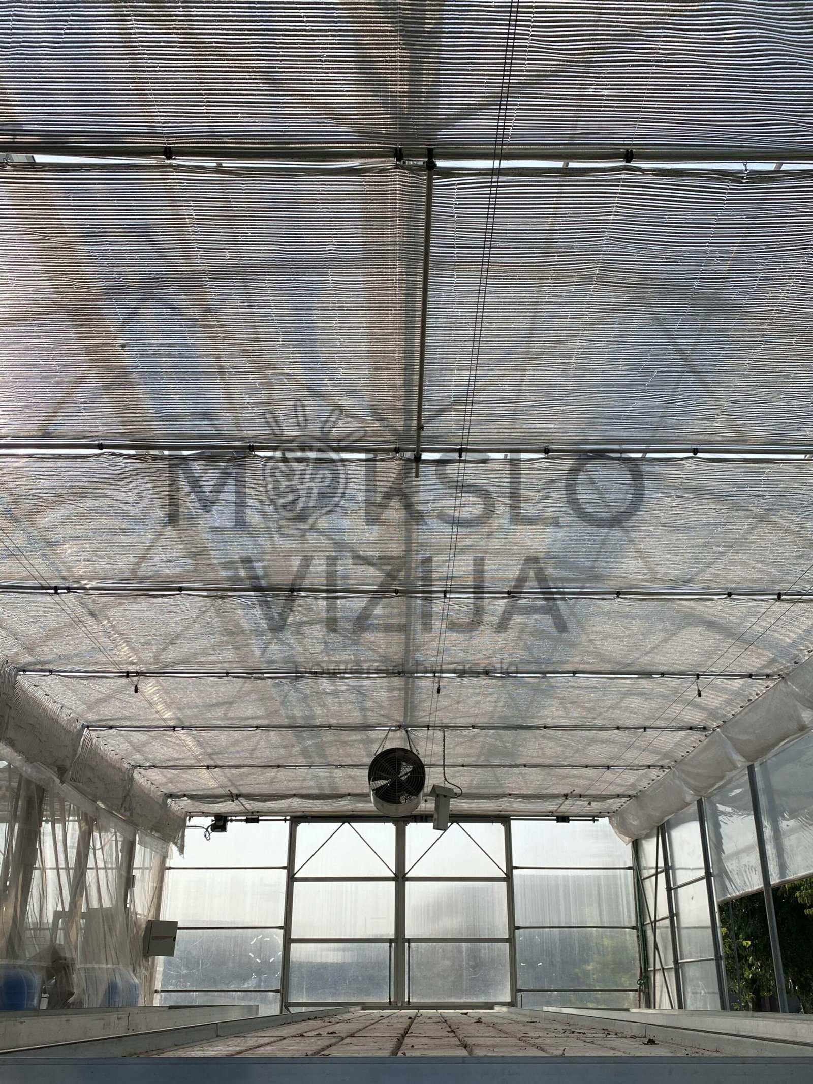šiltnamio viduje įrengtas horizontalus šiluminis šešėliavimo ekranas energijos taupymui ir temperatūros kontrolei