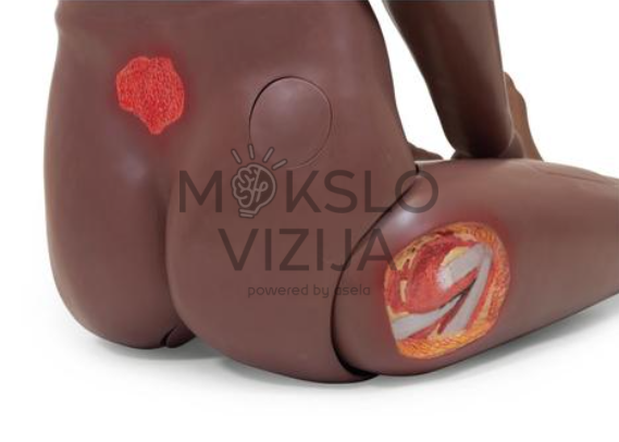 paciento priežiūros manekeno pro žaizdų imitacija ir anatomijos pjūvis slaugos mokymams