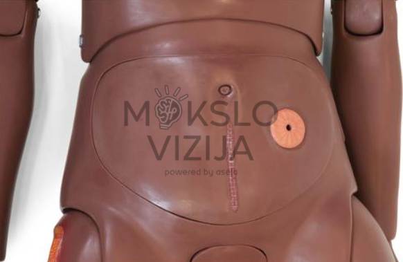 paciento priežiūros manekeno pro pilvo sritis injekcijų ir stomos priežiūros procedūrų treniravimui