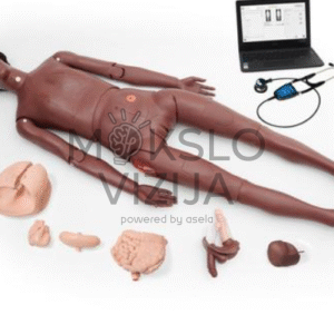 slaugos mokymo manekenas nikki su auskultacijos stetoskopu ir vidaus organų moduliais pacientų priežiūros ir klinikinių įgūdžių mokymams