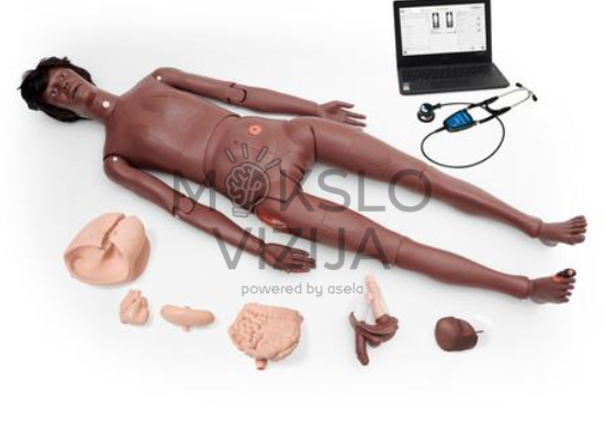 slaugos mokymo manekenas nikki su auskultacijos stetoskopu ir vidaus organų moduliais pacientų priežiūros ir klinikinių įgūdžių mokymams