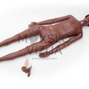 paciento priežiūros manekenas basic slaugos ir pacientų priežiūros mokymams su keičiamomis lyties dalimis