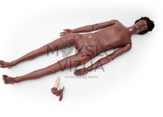 paciento priežiūros manekenas basic slaugos ir pacientų priežiūros mokymams su keičiamomis lyties dalimis