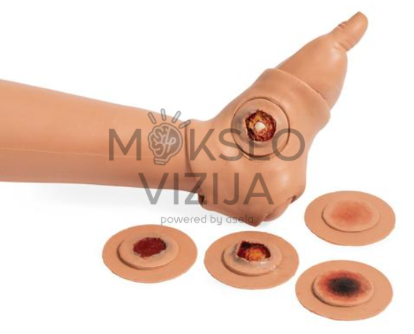 pėdos žaizdų imitacijos modulis medicininės simuliacijos ir žaizdų priežiūros mokymams