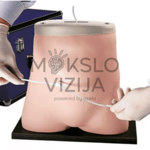 peritoninės dializės simuliatorius capd procedūrų ir dializės kateterio priežiūros mokymams slaugos studijose