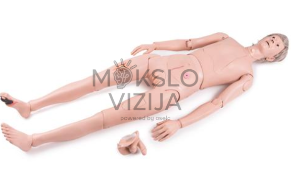 laugos mokymo manekenas pacientų priežiūros ir klinikinių procedūrų mokymams