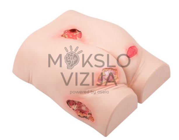 žaizdų priežiūros treniruoklis su įvairių tipų žaizdų imitacijomis slaugos mokymams