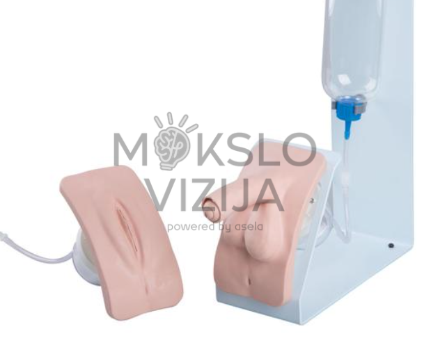kateterizacijos treniruoklis vyrų ir moterų šlapimo kateterio įvedimo mokymams