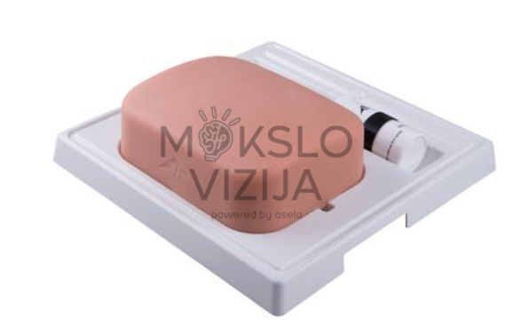 tulžies pūslės punkcijos treniravimo modelis medicinos ir slaugos studentų mokymams