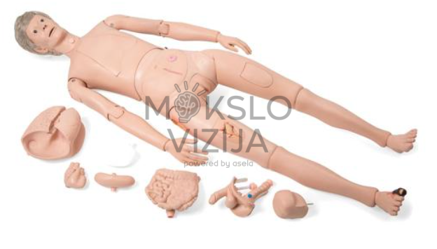 pilnas paciento priežiūros mokymo manekeno ir jo priedų rinkinys medicinos mokymui
