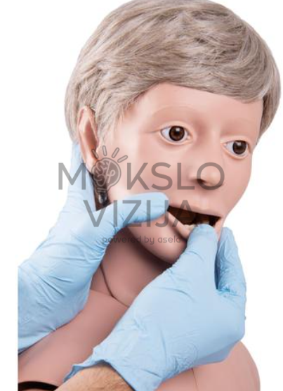 paciento priežiūros manekeno burnos priežiūros demonstravimas medicinos mokymuose