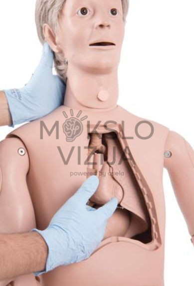 paciento priežiūros mokymo manekenas su išimamais vidaus organais medicinos mokymui