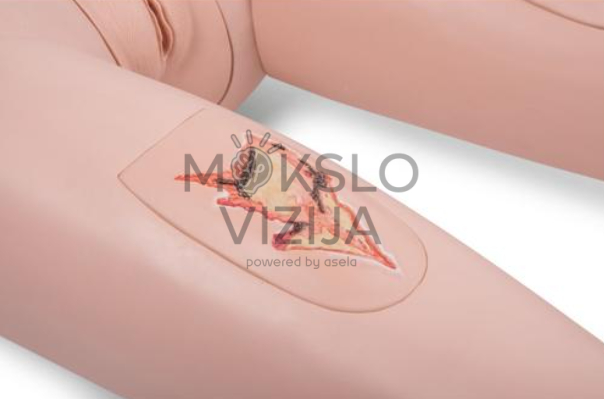 paciento priežiūros mokymo manekeno šlaunies žaizdos imitacija slaugos ir medicinos mokymui